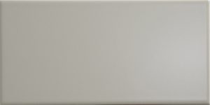 Central Light Grey Gloss 10 x 20