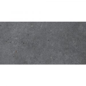Siena Light Grey Matt 30 x 60
