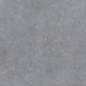 Siena Light Grey Matt 60 x 60